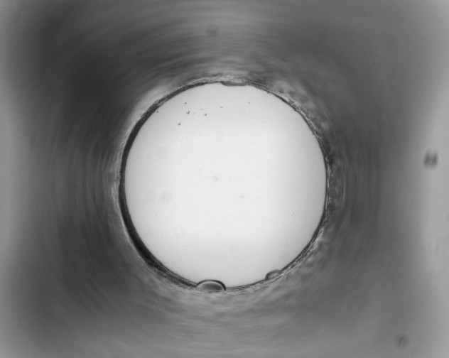 X0000103270003200809191753