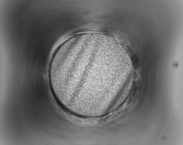 X0000103270004200809191753