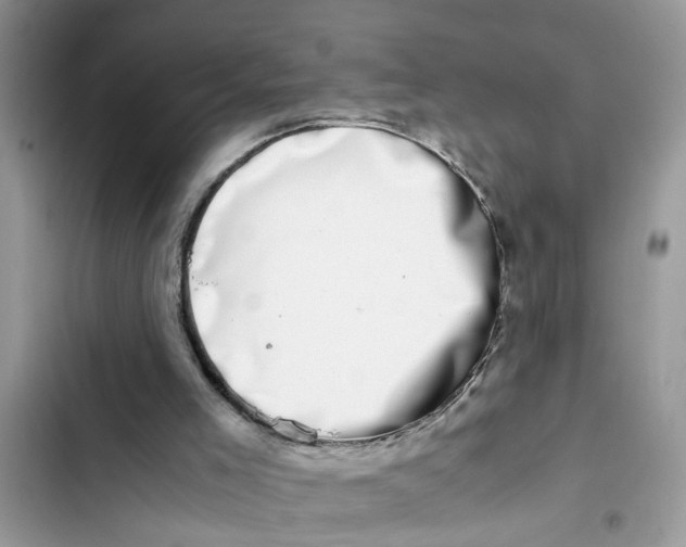 X0000103270005200809191753