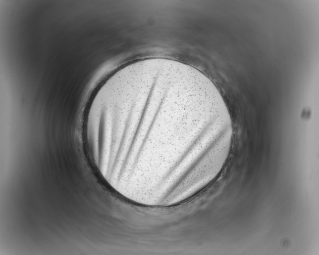 X0000103270006200809191753