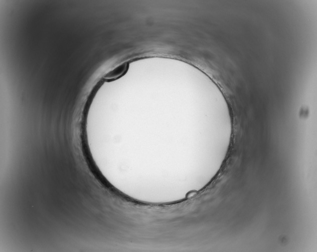 X0000103270007200809191753