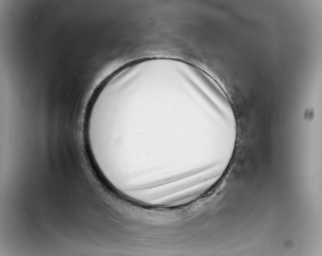X0000103270008200809191753