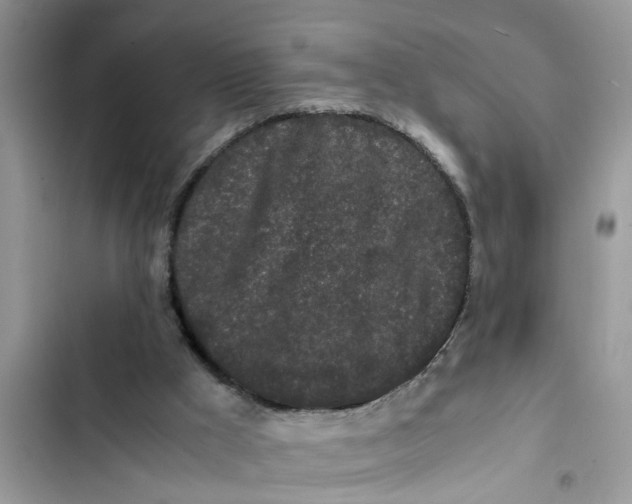 X0000103270009200809191753