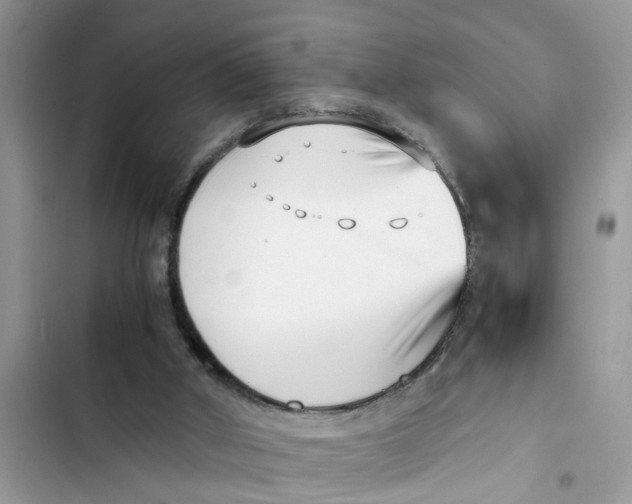 X0000103270010200809191753