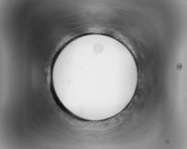 X0000103270011200809191753