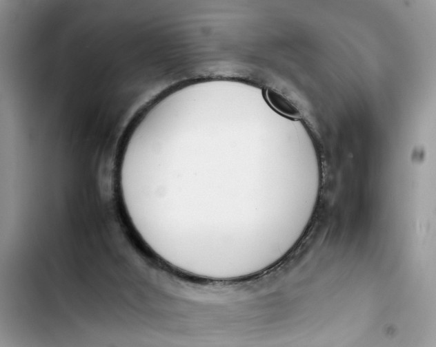 X0000103270012200809191753