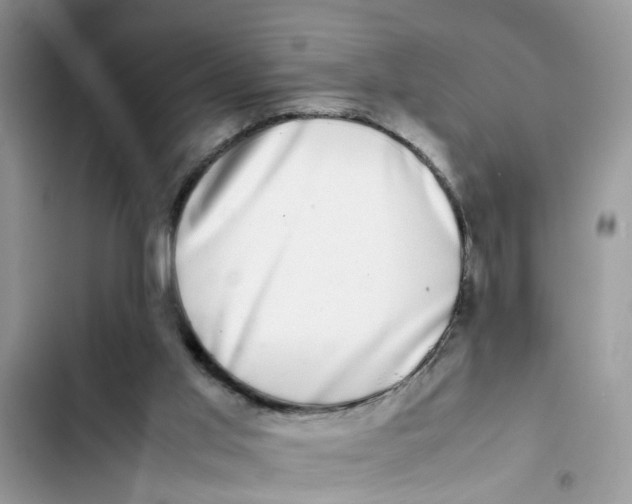 X0000103270013200809191753