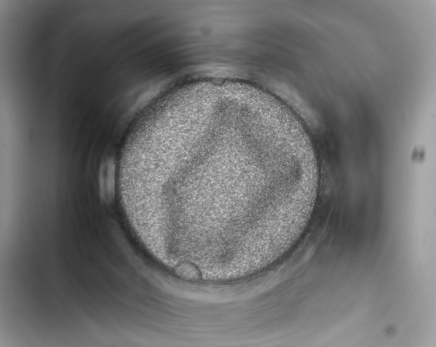 X0000103270014200809191753