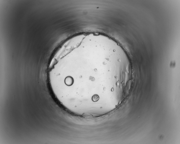X0000103270015200809191753