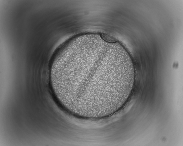 X0000103270016200809191753