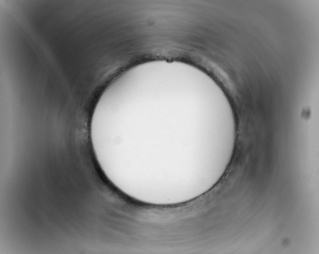 X0000103270017200809191753