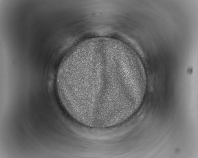 X0000103270018200809191753