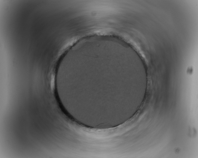 X0000103270019200809191753