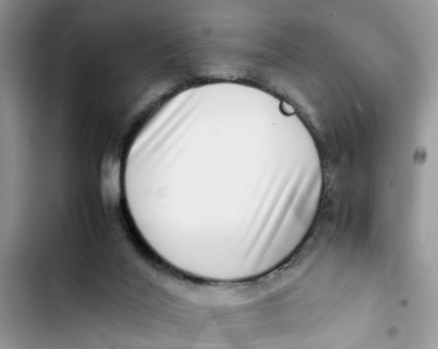 X0000103270020200809191753