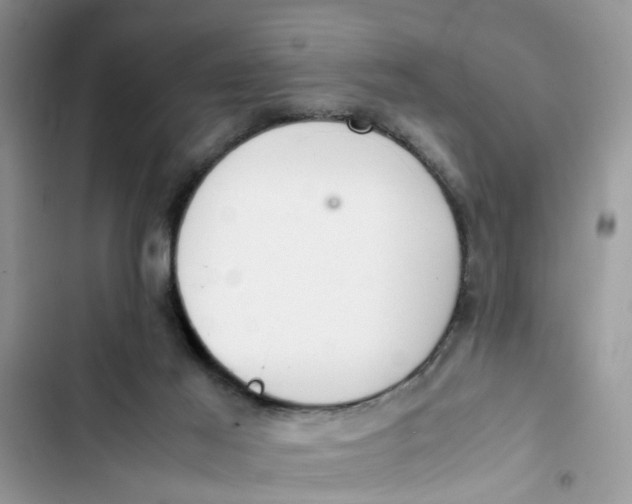 X0000103270021200809191753