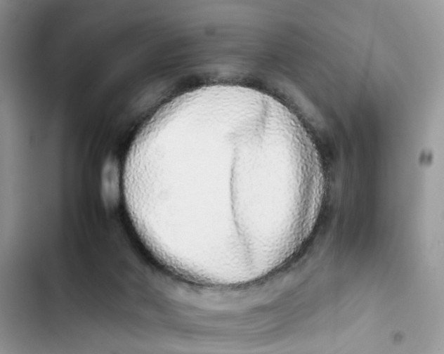 X0000103270022200809191753