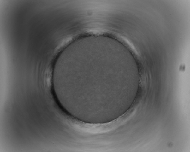 X0000103270023200809191753