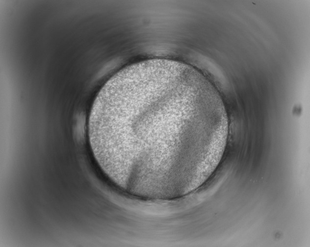 X0000103270024200809191753