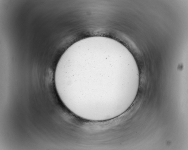 X0000103270025200809191753