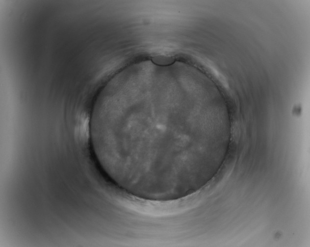 X0000103270027200809191753