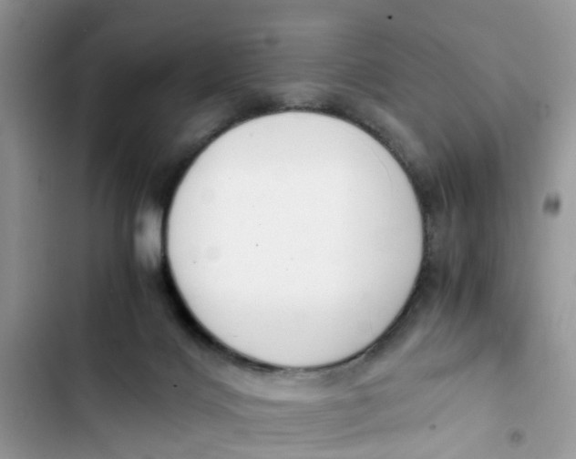 X0000103270028200809191753