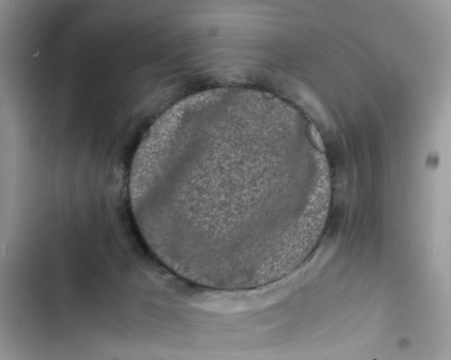 X0000103270029200809191753