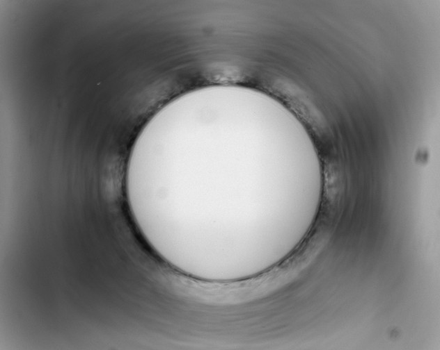 X0000103270030200809191753