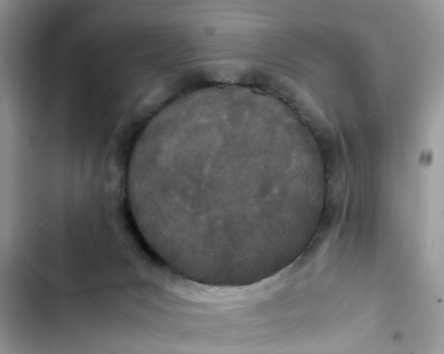 X0000103270031200809191753