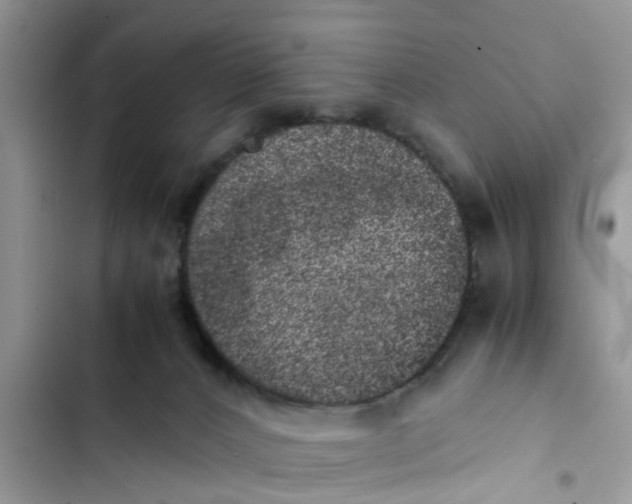 X0000103270032200809191753
