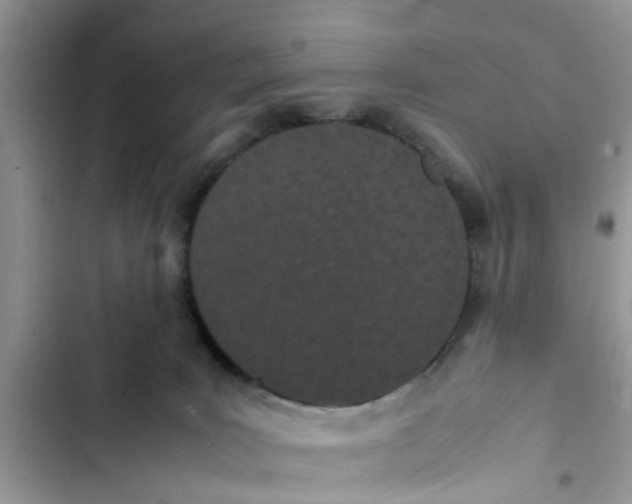 X0000103270035200809191753