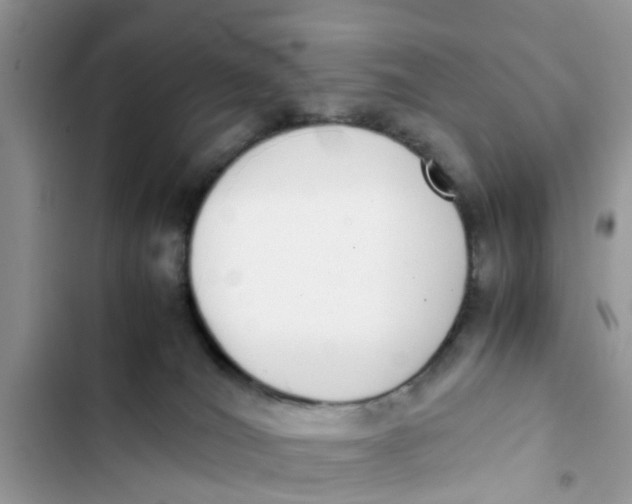 X0000103270036200809191753