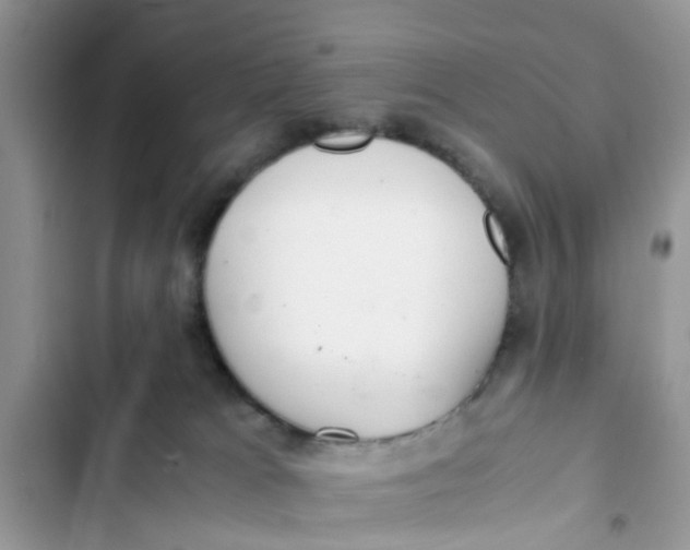 X0000103270037200809191753