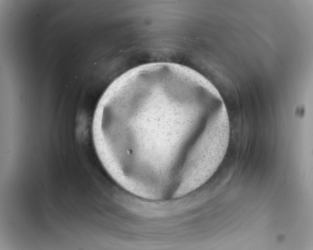 X0000103270038200809191753
