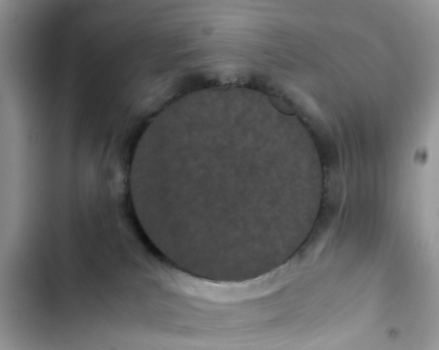 X0000103270039200809191753