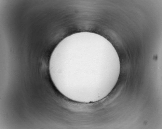 X0000103270040200809191753