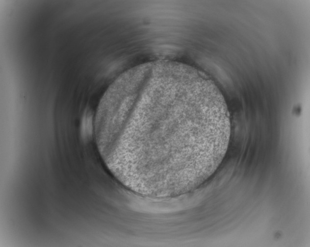 X0000103270042200809191753