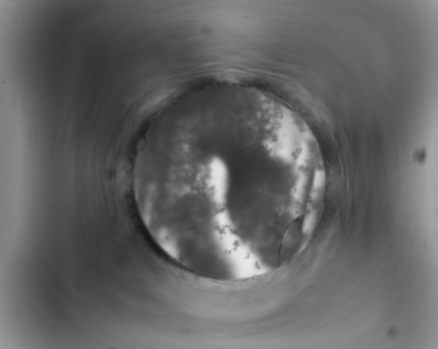 X0000103270043200809191752