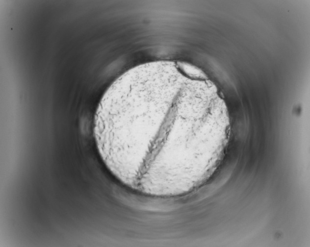 X0000103270044200809191752