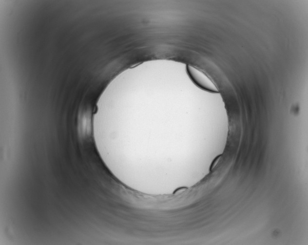 X0000103270046200809191752