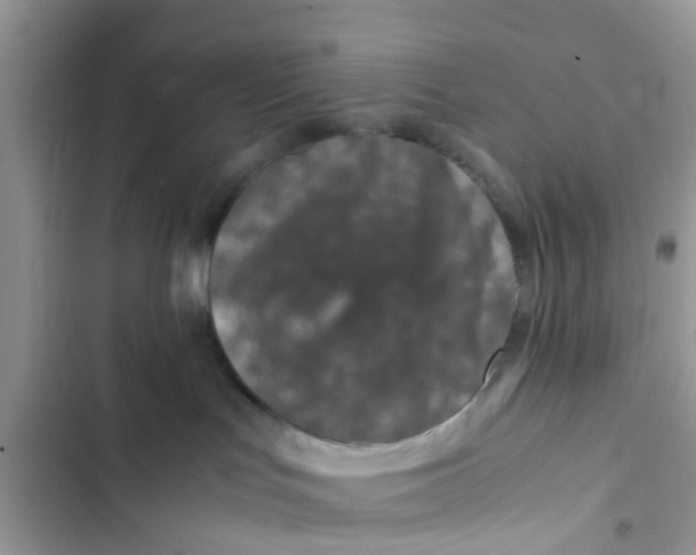 X0000103270047200809191752