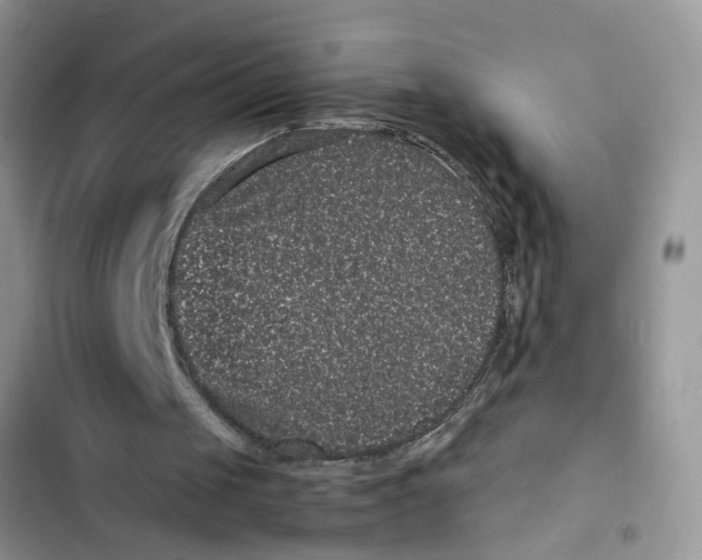 X0000103270049200809191752