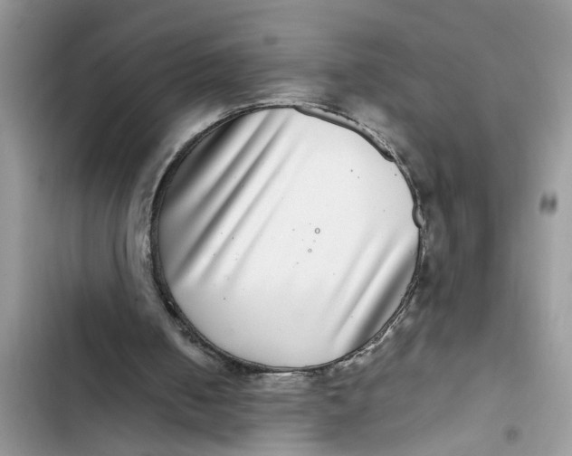 X0000103270050200809191752