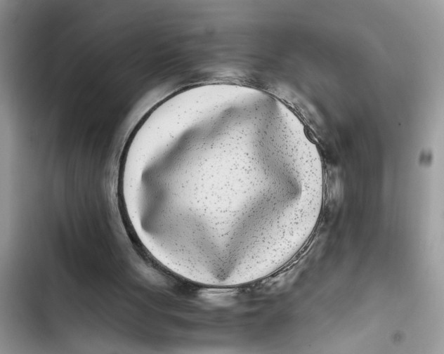 X0000103270051200809191752