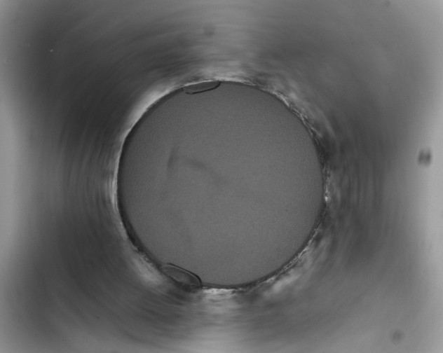X0000103270052200809191752
