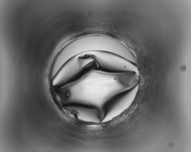 X0000103270053200809191752