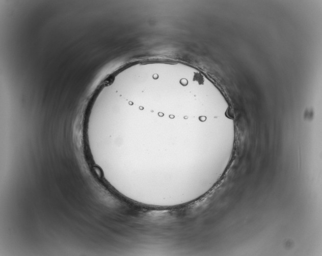 X0000103270054200809191752