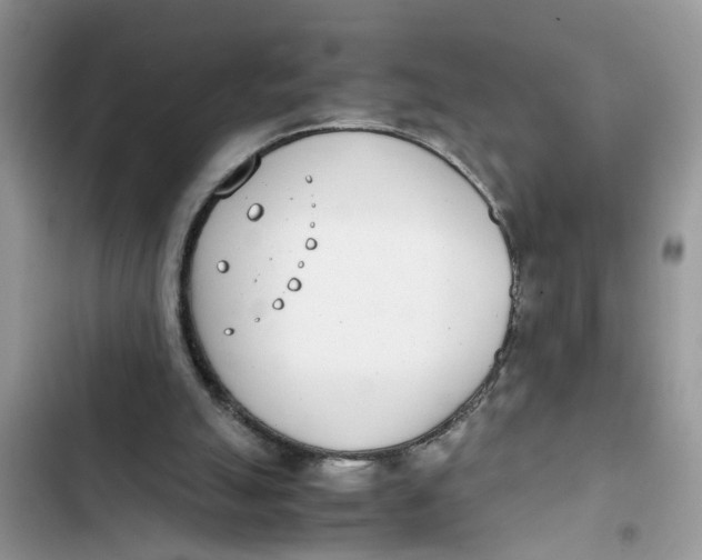 X0000103270055200809191752