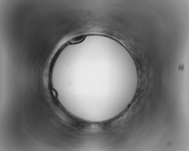 X0000103270056200809191752