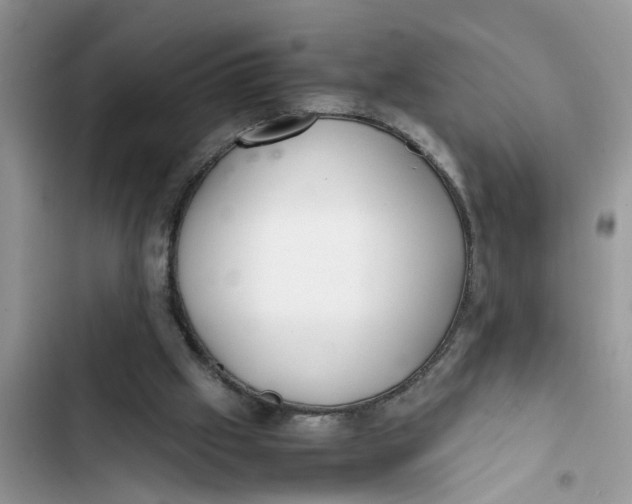 X0000103270057200809191752