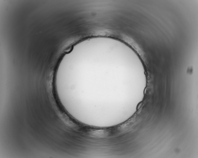 X0000103270058200809191752
